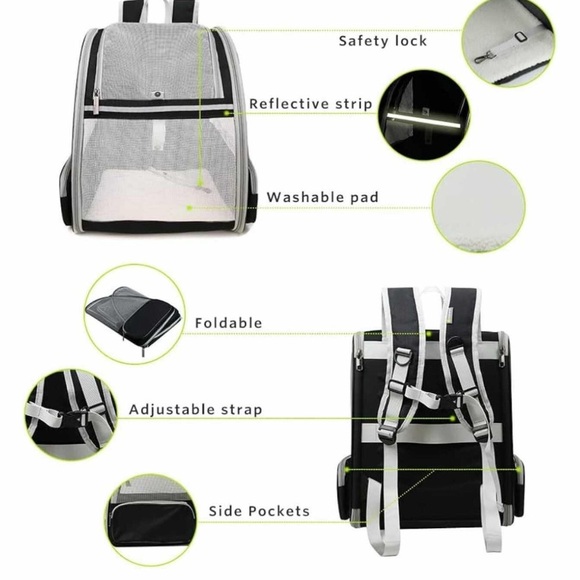 Portable Grey Pet Carrier Backpack with Mesh Ventilation - Picture 3 of 5